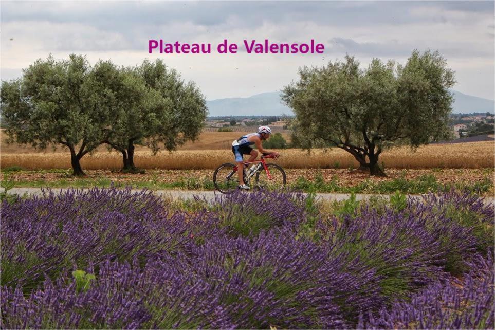 Coeur De Ville, T2, Rue Pietonne, Digne Les Bains エクステリア 写真